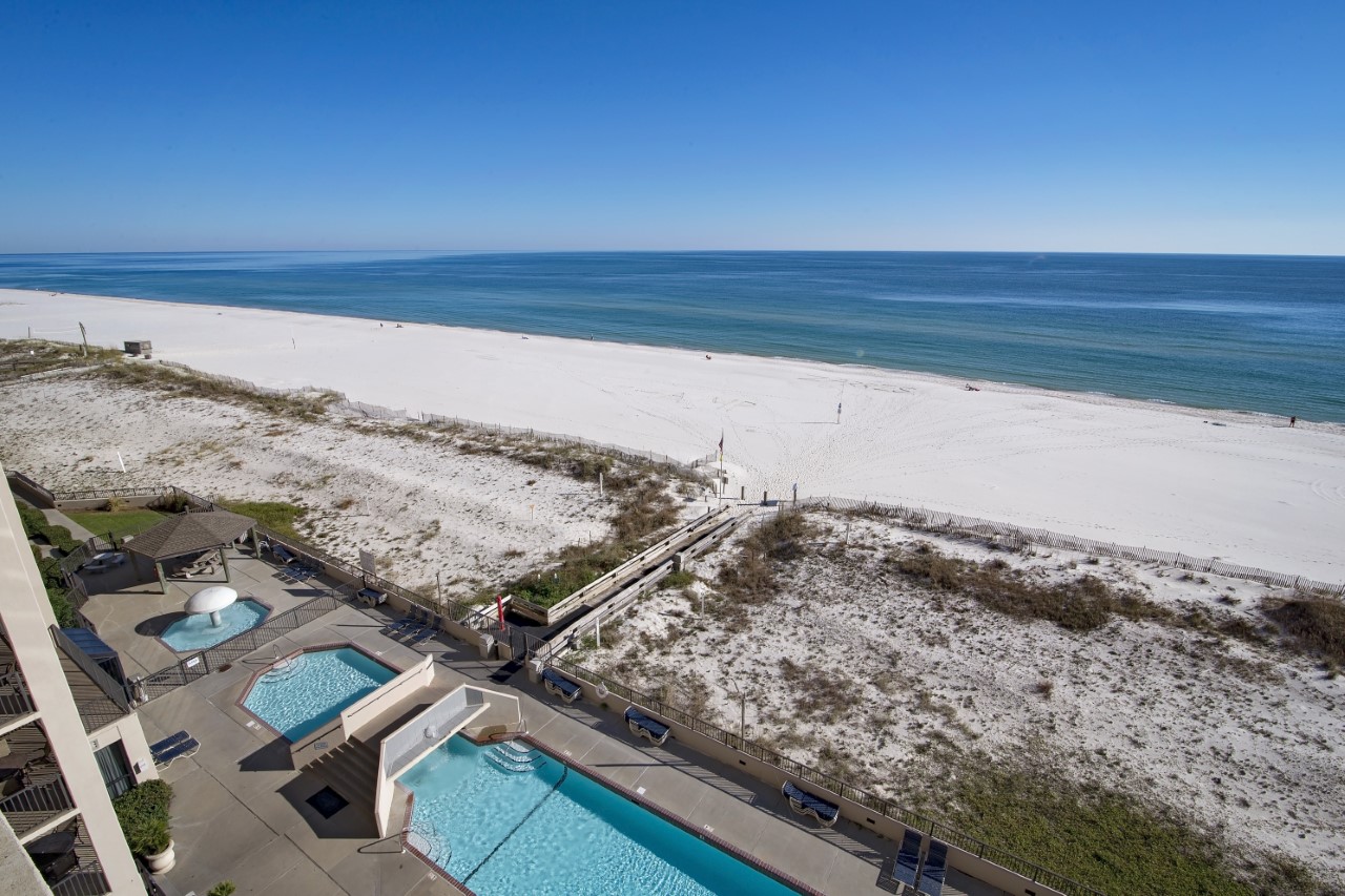 Availibility for Phoenix X Orange Beach, AL 709 Vacation Rental