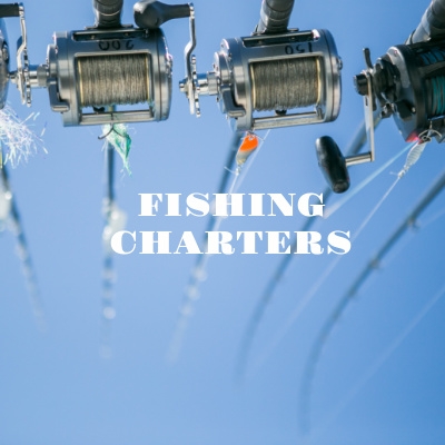 Fishing Charters in Orange Beach Alabama 