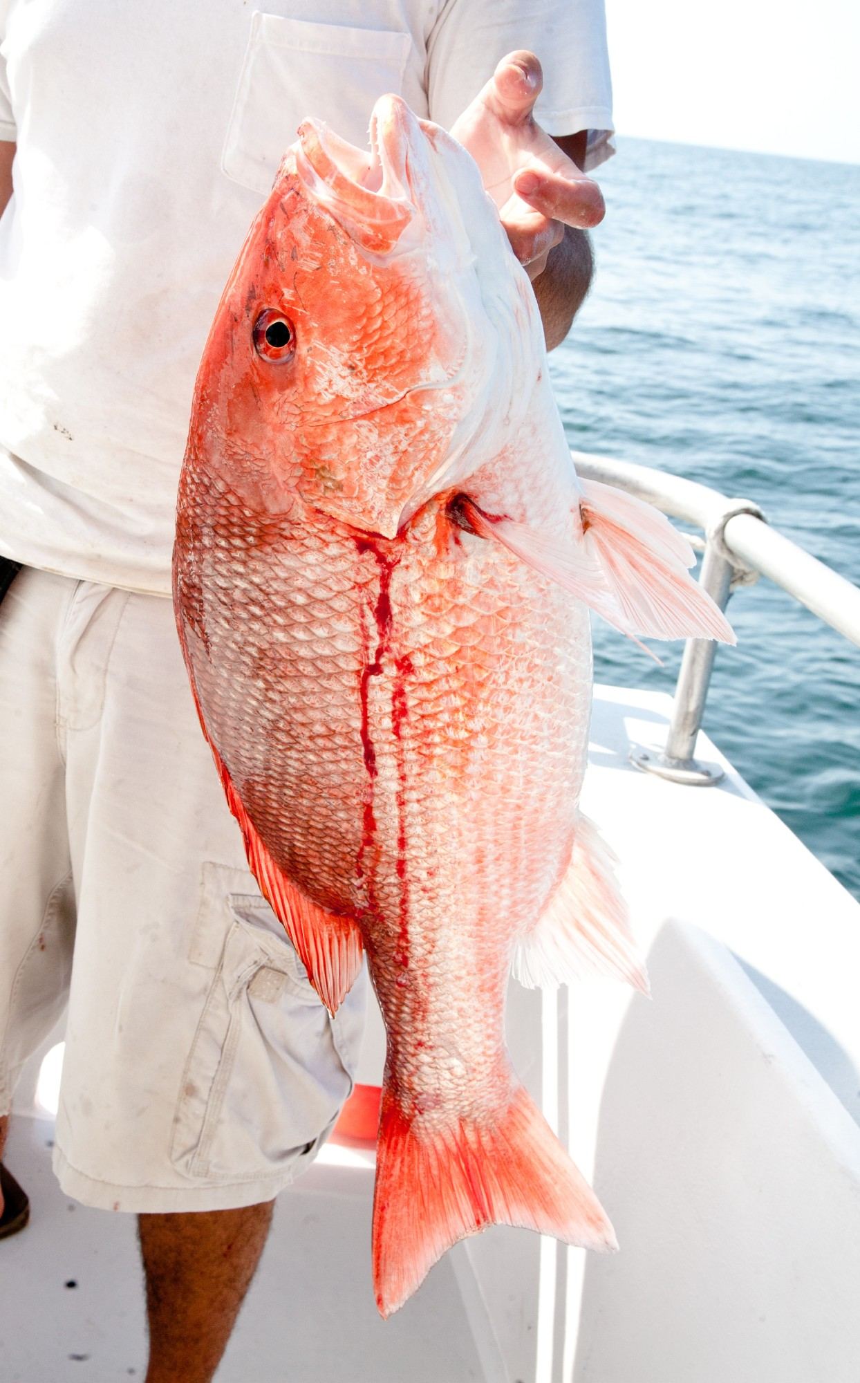 Orange Beach Fishing Charter